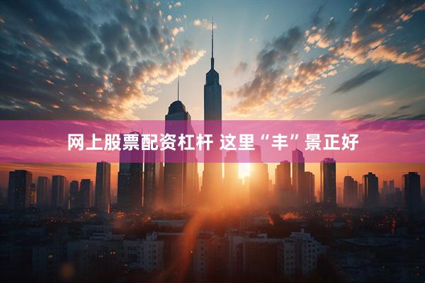 网上股票配资杠杆 这里“丰”景正好