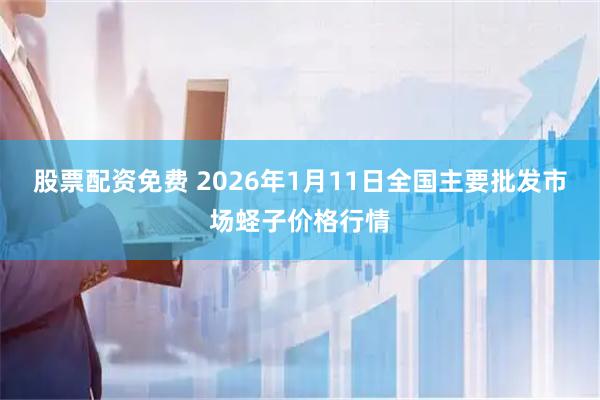 股票配资免费 2026年1月11日全国主要批发市场蛏子价格行情