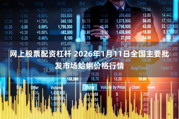 网上股票配资杠杆 2026年1月11日全国主要批发市场蛤蜊价格行情