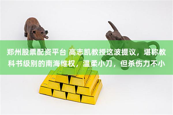郑州股票配资平台 高志凯教授这波提议，堪称教科书级别的南海维权，温柔小刀，但杀伤力不小