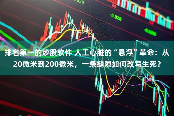 排名第一的炒股软件 人工心脏的“悬浮”革命：从20微米到200微米，一条缝隙如何改写生死？